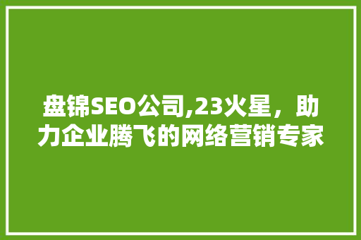 盘锦SEO公司,23火星，助力企业腾飞的网络营销专家