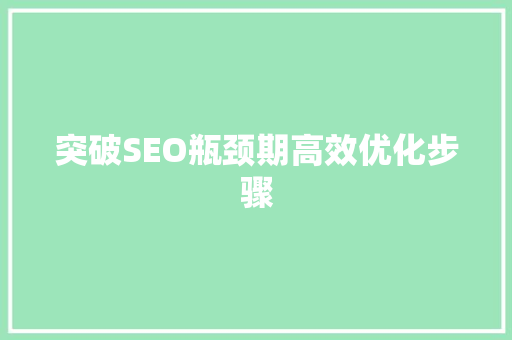 突破SEO瓶颈期高效优化步骤