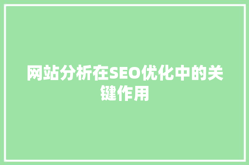 网站分析在SEO优化中的关键作用