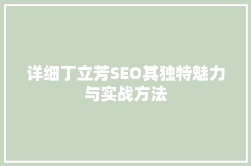 详细丁立芳SEO其独特魅力与实战方法