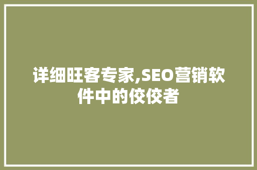 详细旺客专家,SEO营销软件中的佼佼者