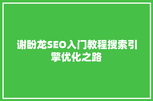 谢盼龙SEO入门教程搜索引擎优化之路