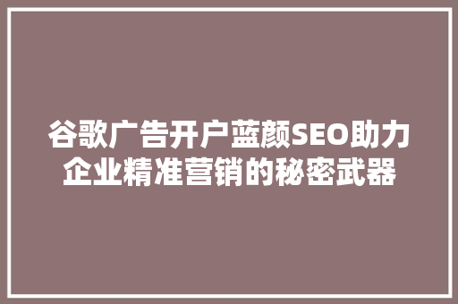 谷歌广告开户蓝颜SEO助力企业精准营销的秘密武器