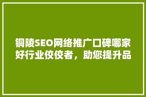 铜陵SEO网络推广口碑哪家好行业佼佼者，助您提升品牌影响力