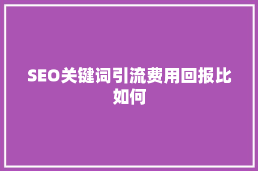 SEO关键词引流费用回报比如何  第1张