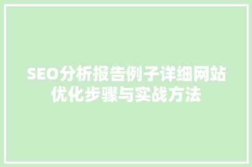 SEO分析报告例子详细网站优化步骤与实战方法