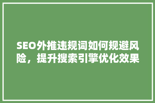 SEO外推违规词如何规避风险，提升搜索引擎优化效果  第1张