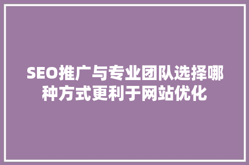 SEO推广与专业团队选择哪种方式更利于网站优化