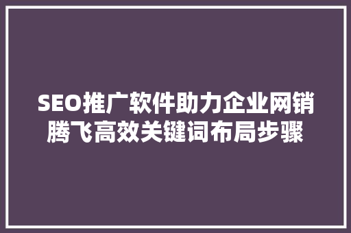 SEO推广软件助力企业网销腾飞高效关键词布局步骤