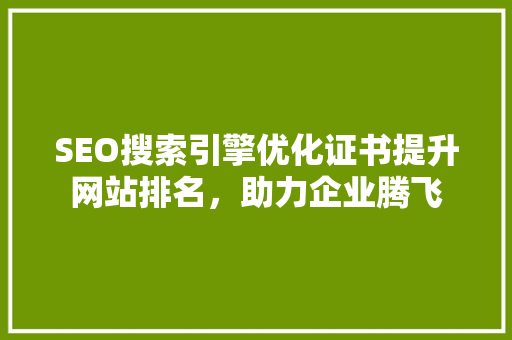 SEO搜索引擎优化证书提升网站排名，助力企业腾飞