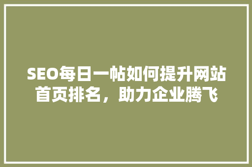 SEO每日一帖如何提升网站首页排名，助力企业腾飞