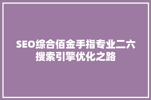SEO综合佰金手指专业二六搜索引擎优化之路