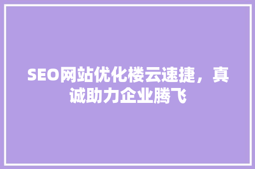 SEO网站优化楼云速捷，真诚助力企业腾飞  第1张