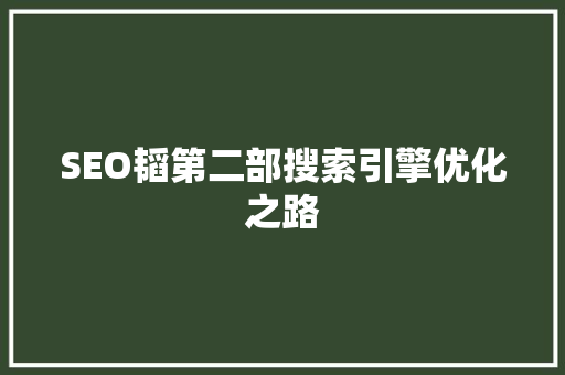 SEO韬第二部搜索引擎优化之路