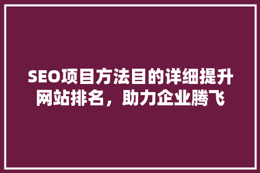 SEO项目方法目的详细提升网站排名，助力企业腾飞