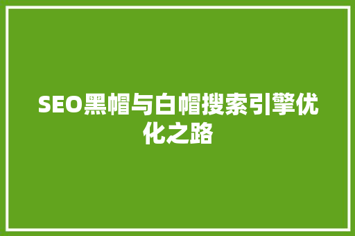 SEO黑帽与白帽搜索引擎优化之路