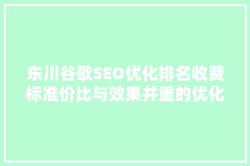 东川谷歌SEO优化排名收费标准价比与效果并重的优化之路