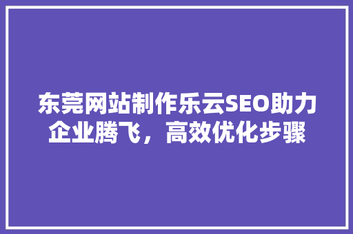 东莞网站制作乐云SEO助力企业腾飞，高效优化步骤