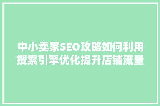 中小卖家SEO攻略如何利用搜索引擎优化提升店铺流量  第1张