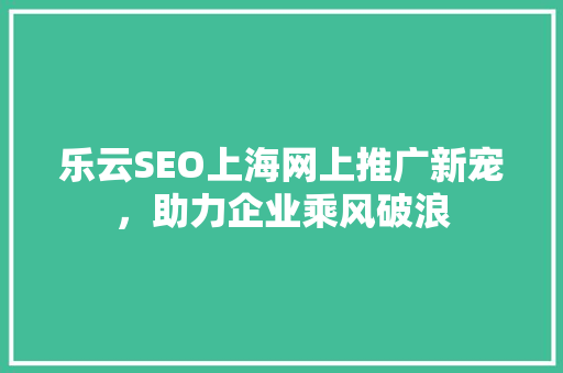 乐云SEO上海网上推广新宠，助力企业乘风破浪
