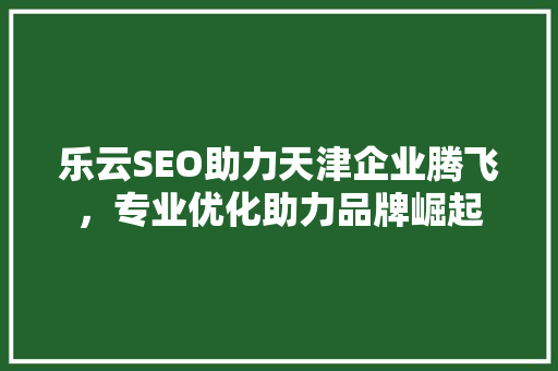 乐云SEO助力天津企业腾飞，专业优化助力品牌崛起