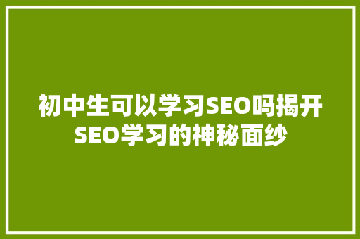 初中生可以学习SEO吗揭开SEO学习的神秘面纱