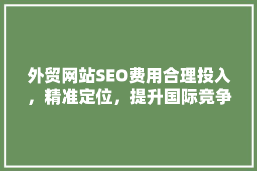 外贸网站SEO费用合理投入，精准定位，提升国际竞争力