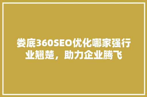娄底360SEO优化哪家强行业翘楚，助力企业腾飞