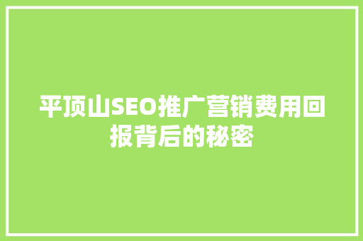 平顶山SEO推广营销费用回报背后的秘密