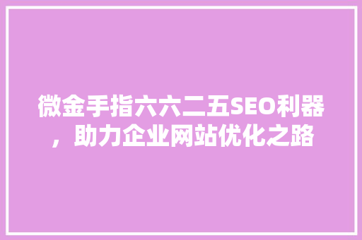 微金手指六六二五SEO利器，助力企业网站优化之路