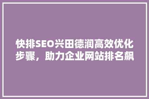 快排SEO兴田德润高效优化步骤，助力企业网站排名飙升