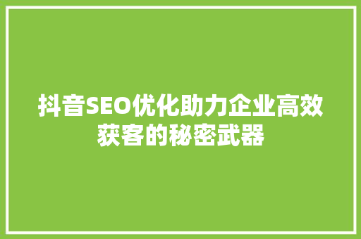 抖音SEO优化助力企业高效获客的秘密武器