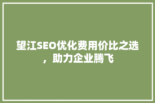 望江SEO优化费用价比之选，助力企业腾飞  第1张