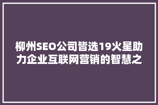 柳州SEO公司皆选19火星助力企业互联网营销的智慧之选  第1张