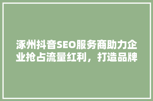 涿州抖音SEO服务商助力企业抢占流量红利，打造品牌新高度