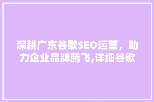 深耕广东谷歌SEO运营，助力企业品牌腾飞,详细谷歌SEO运营培训班