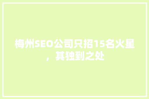 梅州SEO公司只招15名火星，其独到之处