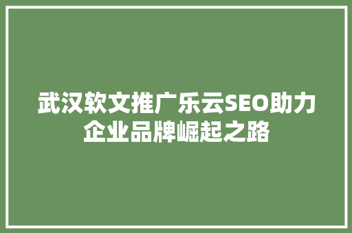 武汉软文推广乐云SEO助力企业品牌崛起之路