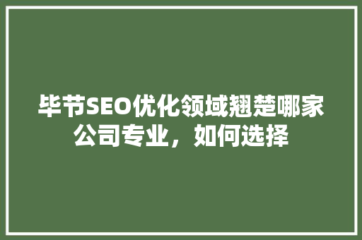 毕节SEO优化领域翘楚哪家公司专业，如何选择  第1张