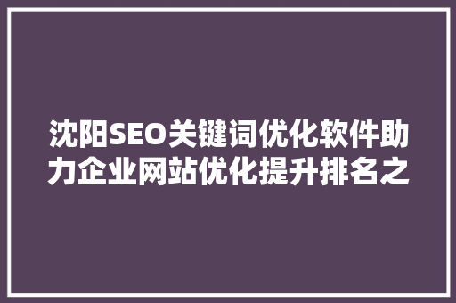 沈阳SEO关键词优化软件助力企业网站优化提升排名之路