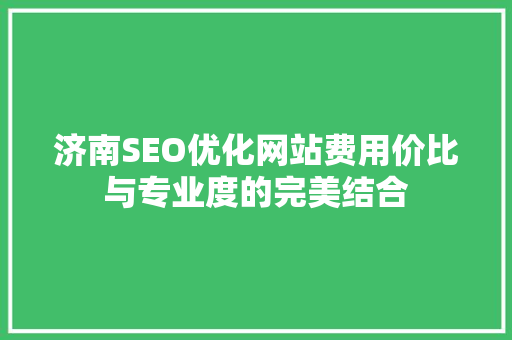 济南SEO优化网站费用价比与专业度的完美结合  第1张