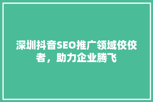 深圳抖音SEO推广领域佼佼者，助力企业腾飞