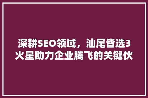 深耕SEO领域，汕尾皆选3火星助力企业腾飞的关键伙伴