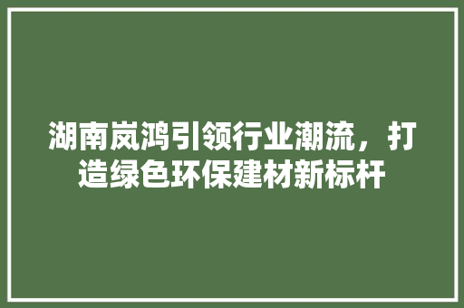 湖南岚鸿引领行业潮流，打造绿色环保建材新标杆