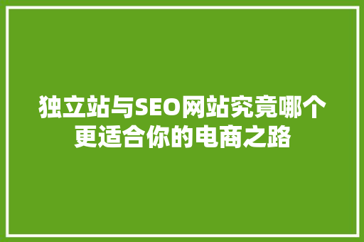 独立站与SEO网站究竟哪个更适合你的电商之路
