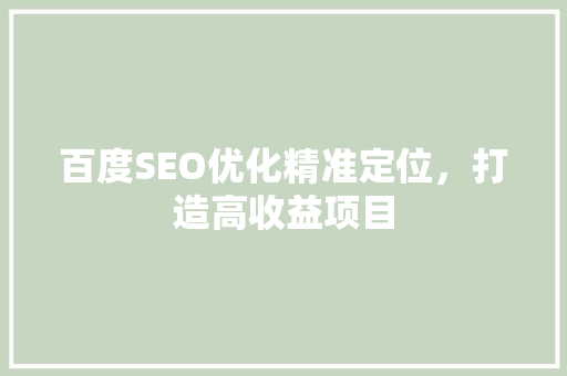 百度SEO优化精准定位，打造高收益项目