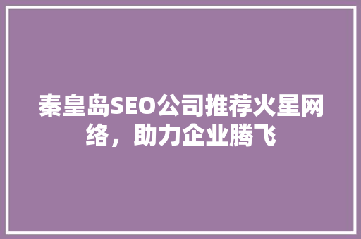 秦皇岛SEO公司推荐火星网络，助力企业腾飞