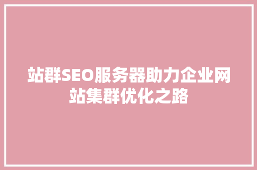 站群SEO服务器助力企业网站集群优化之路