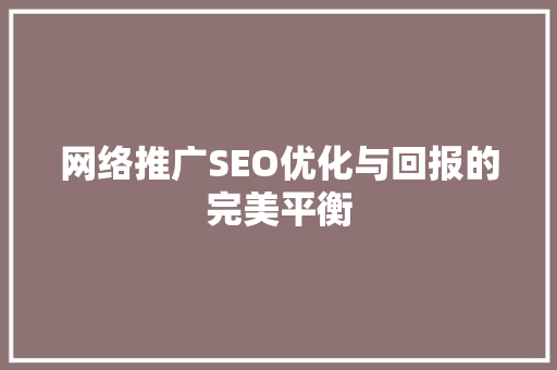 网络推广SEO优化与回报的完美平衡