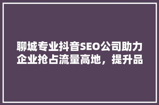聊城专业抖音SEO公司助力企业抢占流量高地，提升品牌影响力